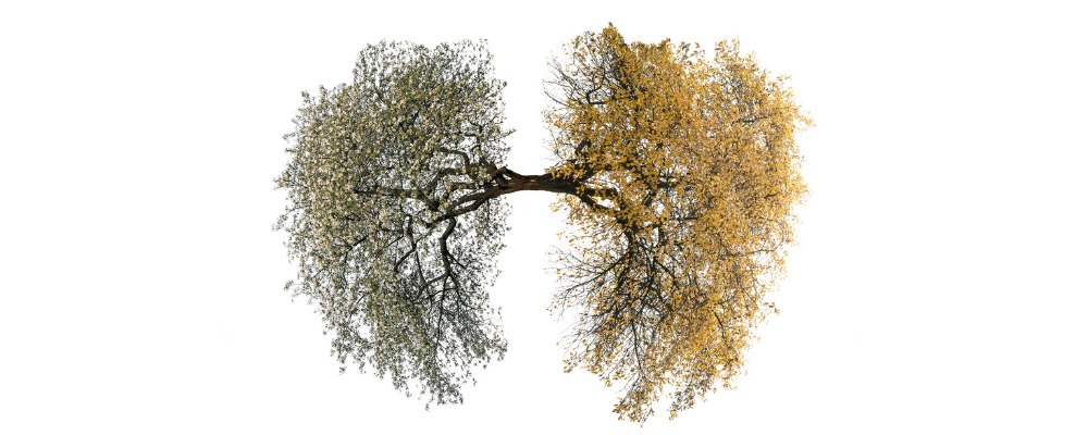 Webinar | Healthy Planet, Healthy People: How Climate Change Impacts Human Immunology