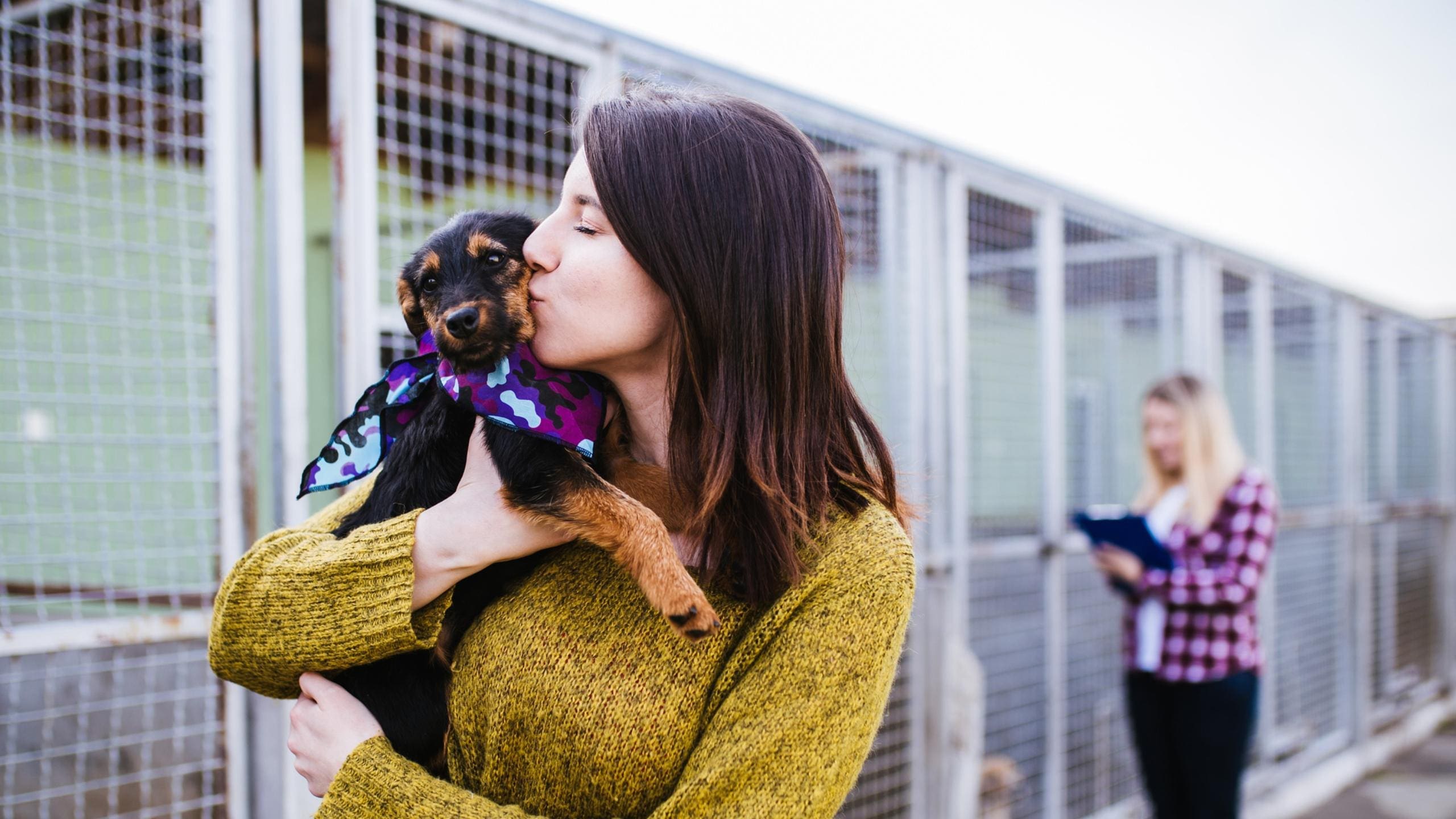 animal shelter