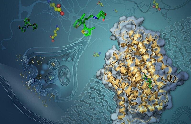 First Visualization of a Small Protein’s Structure Could Advance Treatments for Epilepsy and Other Disorders